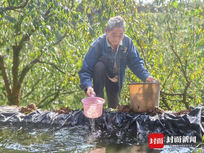 打通供水保障“最后一公里” 四川屏山推动解决城乡用水“三大难题”(图1)