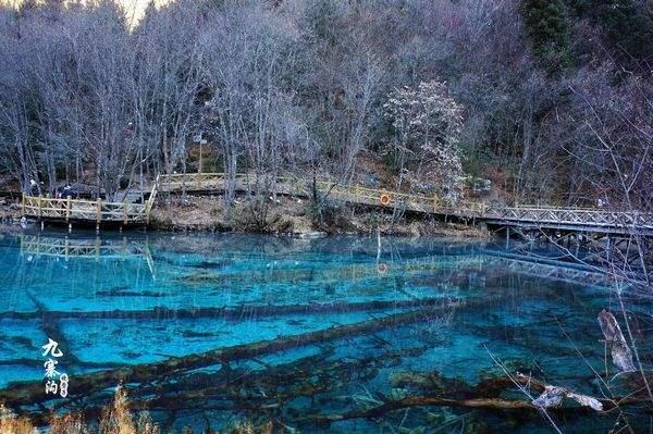 外国夫妻发明空气制水机从空集中收集水每天能产2000升纯净水(图1)